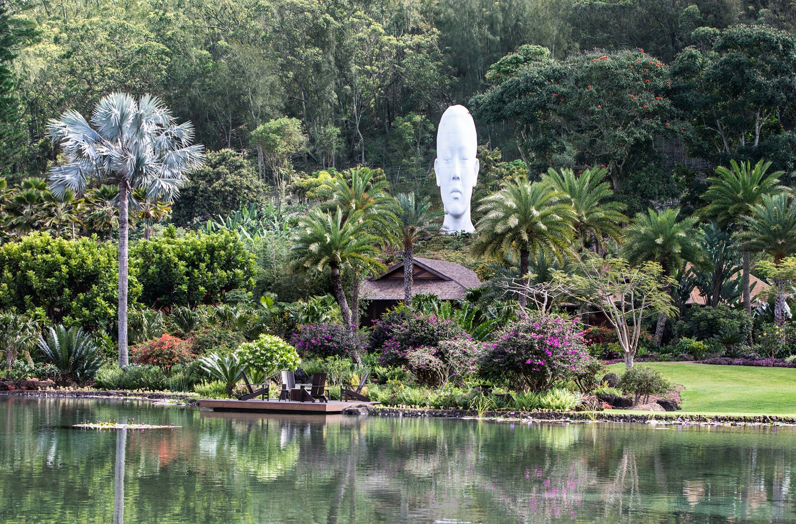 Image may contain nature outdoor pond water grass park plant garden vegetation landscape people and trees